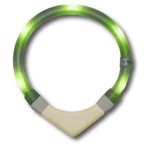 LEUCHTIE® Leuchthalsband Plus NL für Hunde, nachleuchtend phosphoreszierendes Batterieteil, wasserdichtes LED Halsband, 100h Leuchtdauer, für kleine mittlere und große Hunde Limette Größe 65 von LEUCHTIE