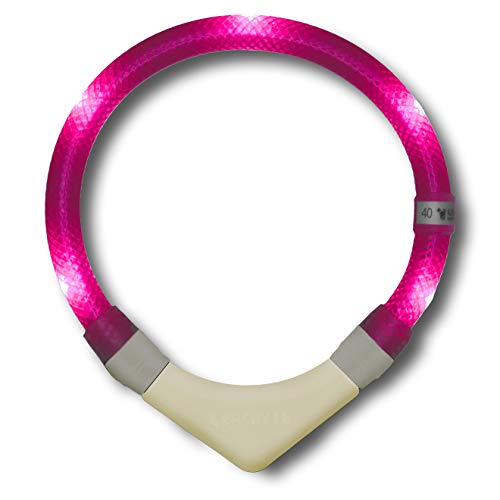 LEUCHTIE® Leuchthalsband Plus NL für Hunde, nachleuchtend phosphoreszierendes Batterieteil, wasserdichtes LED Halsband, 100h Leuchtdauer, für kleine mittlere und große Hunde hotpink Größe 42,5 von LEUCHTIE