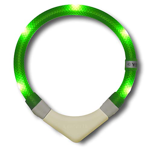 LEUCHTIE® Leuchthalsband Plus NL für Hunde, nachleuchtend phosphoreszierendes Batterieteil, wasserdichtes LED Halsband, 100h Leuchtdauer, für kleine mittlere und große Hunde neongrün Größe 45 von LEUCHTIE