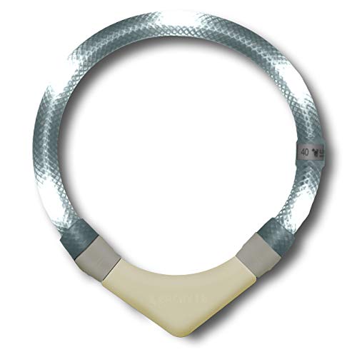 LEUCHTIE® Leuchthalsband Plus NL für Hunde, nachleuchtend phosphoreszierendes Batterieteil, wasserdichtes LED Halsband, 100h Leuchtdauer, für kleine mittlere und große Hunde weiß Größe 42,5 von LEUCHTIE