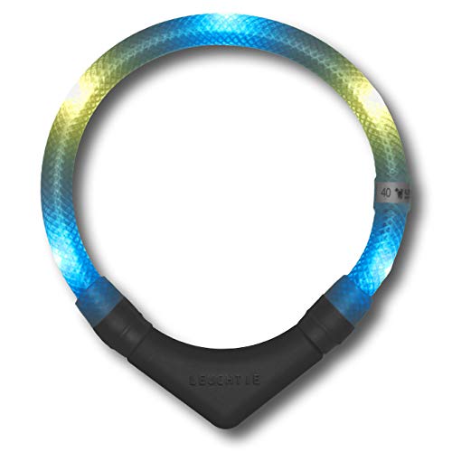 LEUCHTIE® Leuchthalsband Plus für Hunde, wasserdichtes LED Halsband, enorm hell 100h Leuchtdauer, Hundehalsband Leuchtend für kleine mittlere und große Hunde eisblau-vanille Größe 35 von LEUCHTIE