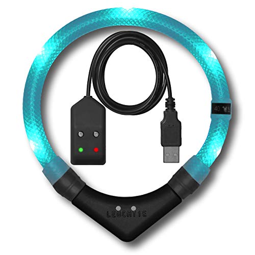 LEUCHTIE® Leuchthalsband Easy Charge für Hunde, USB aufladbar, wasserdichtes LED Halsband, extrem hell, 25h Leuchtdauer, kleine mittlere und große Hunde türkis Größe 50 von LEUCHTIE