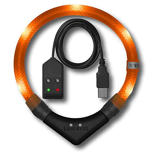 LEUCHTIE® Leuchthalsband Easy Charge für Hunde, USB aufladbar, wasserdichtes LED Halsband, extrem hell, 25h Leuchtdauer, kleine mittlere und große Hunde Sunset orange Größe 35 von LEUCHTIE