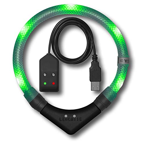 LEUCHTIE® Leuchthalsband Easy Charge für Hunde, USB aufladbar, wasserdichtes LED Halsband, extrem hell, 25h Leuchtdauer, kleine mittlere und große Hunde grün Größe 37,5 von LEUCHTIE