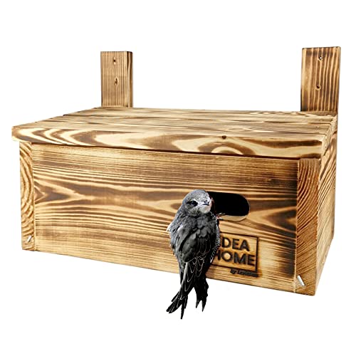 Leviatan IDEA HOME APUS Nistkasten für Mauersegler, Vögel, aus Massivem-Holz - Verschraubt von Leviatan