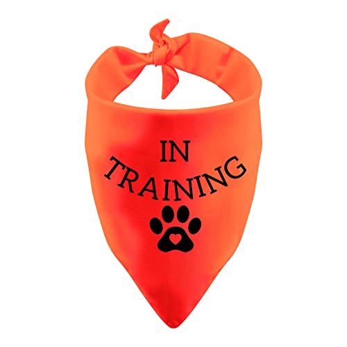 LEVLO Lustiges Hundehalstuch im Training, dreieckig, bedruckt, Haustierschal, Aufgabe, trainierte Hilfe, Hundeschal (im Training) von LEVLO