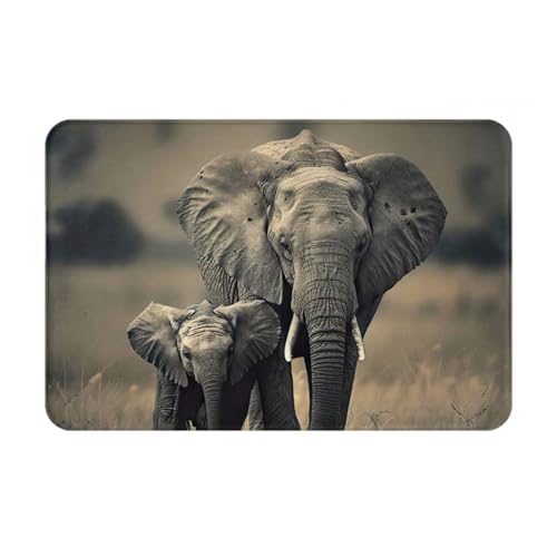 LEVNDIEJ Fußmatte mit Aufschrift "Old Elephant and Young Elefant", für den Innen- und Außenbereich, für Eingang, Eingang, Garage, Eingang, Tür LEVNDIEJ Fußmatte mit Aufschrift "Old Elephant and Young Elefant", für den Innen- und Außenbereich, für Eingang, Eingang, Garage, Eingang, Tür von LEVNDIEJ
