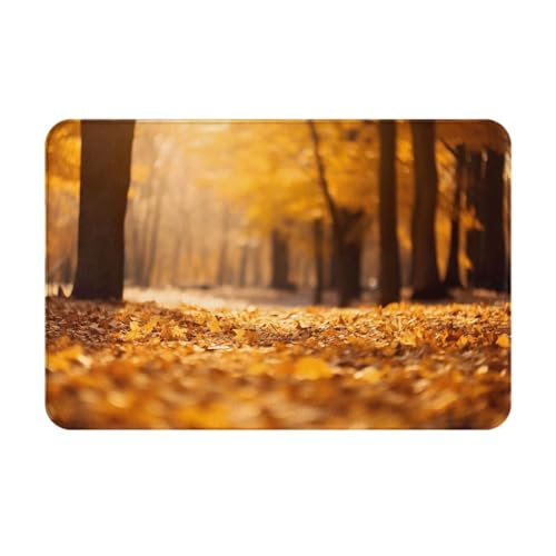 LEVNDIEJ Fußmatte mit schönem Herbst-HD-Druck, Willkommens-Fußmatte, für den Innenbereich, Eingang, Fußmatten, für Haustür, Garage LEVNDIEJ Fußmatte mit schönem Herbst-HD-Druck, Willkommens-Fußmatte, für den Innenbereich, Eingang, Fußmatten, für Haustür, Garage von LEVNDIEJ