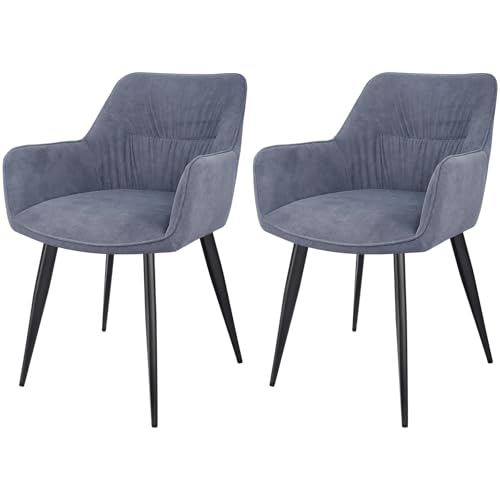 LEWE Esszimmerstühle 2er Set, Ergonomisch Polsterstuhl, Küchenstühle mit Armlehne, Metallbeine, Breitere Sitzfläche, Kurzflor-Stoff für Esszimmer Wohnzimmer Schlafzimmer, Grau von LEWE