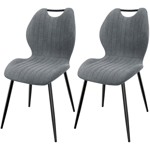 LEWE Esszimmerstühle 2er Set, Küchenstühle Wohnzimmerstuhl Polsterstuhl mit Metallbeine,Stuhl mit Stoff-Rückenlehne, Stühle für Esszimmer Wohnzimmer Küche von LEWE