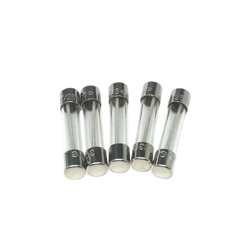 LEWLUIRZA 1 Teile/LOS Zeitverzögerung Glassicherung 313 SICHERUNG 250 V 1A 2A 3A 4A 5A 8A Langsam fusing Abmessungen: 6 * 30/32mm(T8A) von LEWLUIRZA