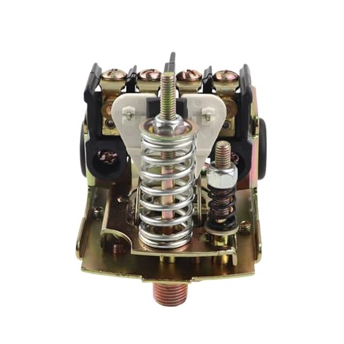 Wasserdruckregelung for Wasserpumpe Doppelfedern Druckschalter Durchflussschalter(Double Springs) von LEWLUIRZA