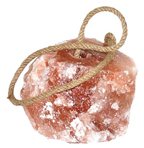 Salzleckstein 1 Stück Salzleckstein 1 Stück von LEXA