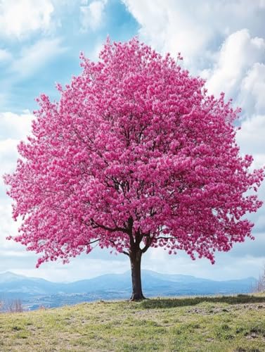 Landschaft Diamond Painting Erwachsene Kinder, Baum Diamant Painting Bilder Set, 5D Vollbohrer Kristall Stickerei Kreuzstich Basteln, Home Wand Deko Wohnzimmer, Geschenke für Frauen 30x40cm 7x-632 Landschaft Diamond Painting Erwachsene Kinder, Baum Diamant Painting Bilder Set, 5D Vollbohrer Kristall Stickerei Kreuzstich Basteln, Home Wand Deko Wohnzimmer, Geschenke für Frauen 30x40cm 7x-632 von LEYAUPGO