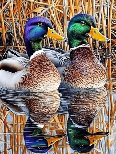 Tier Diamond Painting Erwachsene Kinder, Ente Diamant Painting Bilder Set, 5D Vollbohrer Kristall Stickerei Kreuzstich Basteln Erwachsene Anfänger Home Wand Deko Wohnzimmer Geschenke 50x70cm 7z-62W Tier Diamond Painting Erwachsene Kinder, Ente Diamant Painting Bilder Set, 5D Vollbohrer Kristall Stickerei Kreuzstich Basteln Erwachsene Anfänger Home Wand Deko Wohnzimmer Geschenke 50x70cm 7z-62W von LEYAUPGO