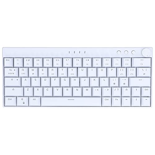 LEYT Mechanische Tastatur, 64-Tasten-RGB-Hintergrundbeleuchtung, Weiße Tastatur (Brauner Schalter) von LEYT