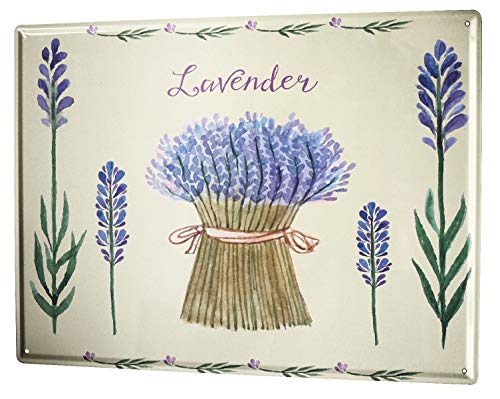 LEotiE SINCE 2004 Blechschild Wandschild 30x40 cm Vintage Retro Metallschild Pflanzen Lavendel von LEotiE SINCE 2004