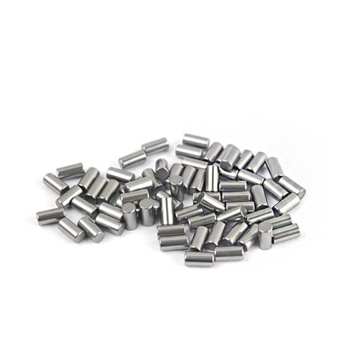 100 Stücke Lagerstahl Nadellagerstift Fixierstift Zylinderstift Roller 2 * 4 5 6 8 10 12 18 20 25 5,5 6,2 6,5 19 27 28 41 45(2X11mm 100pcs) von LFJQFQR