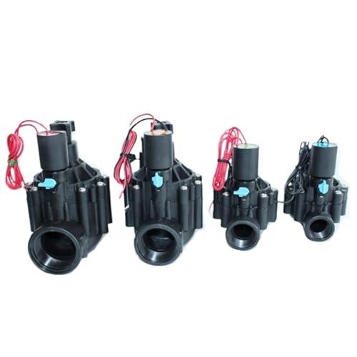 3/4" 1" 1-1/4" 1-1/2" 2" Wasserventil for die Bewässerung 220VAC 24VDC 24VAC 110VDC DC Rast 1Stk(2",BSP_12VDC) von LFJQFQR