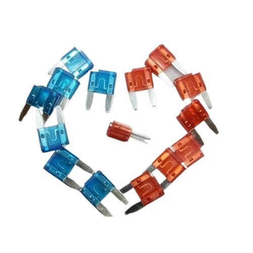 Kleine MINI15a10A20A Notch-Autosicherung, einfache Lötung, konkave und konvexe Fußeckenstruktur(20A) von LFJQFQR