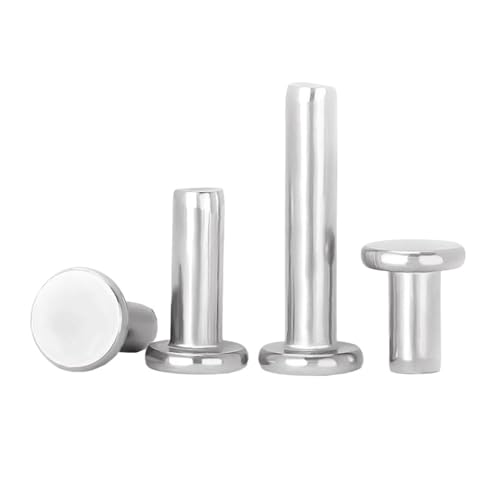 M2 M2.5 M3 M4 M5 M6 GB109 304 Edelstahl Flachrundkopf Vollniete Selbststeckende Schlagnietnagelbolzen 5/50 Stück(10Pcs M6,8mm) von LFJQFQR