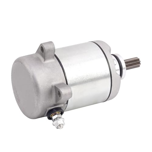 ATV Motorrad Starter Motor for Hond TRX250 TRX250TE TRX250TM FourTra Reco Sportra 250 TRX250X 2x4 SE EX 31200-HM8-A41 von LFJbdO