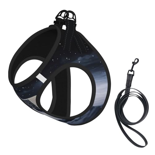 L Pet Leash Vest Hundegeschirr – kleine Größe, Hockeyschläger-Druck, verstellbar, für Outdoor-Reisen und Spaziergänge von LGHHGY