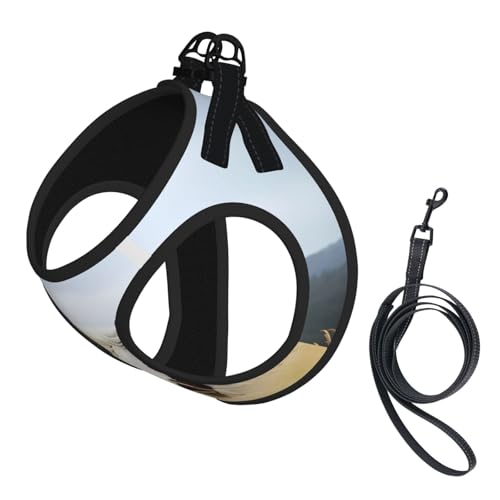 M Pet Leash Vest Hundegeschirr – kleine Größe, Pferde, Laufen, Kunstdruck, verstellbar, für Outdoor-Reisen und Spaziergänge von LGHHGY