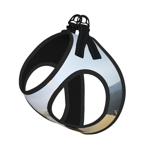 M Pet Leash Vest Hundegeschirr – kleine Größe, Pferde, Laufen, Kunstdruck, verstellbar, für Outdoor-Reisen und Spaziergänge von LGHHGY
