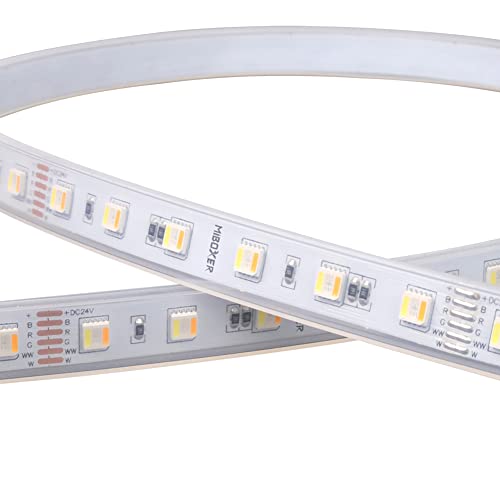 LGIDTECH LSL5T01N 5050 5-in-1-SMD-RGB+CCT-LED-Streifenlicht DC 24 V, 16,4 Fuß = 5 Meter, 300 LEDs, Silikonschlauch, wasserdicht, IP65 von LGIDTECH