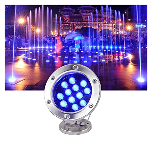 LGJEGD LED Unterwasser-LED-Leuchten 24V IP68 Wasserdicht Einstellbare Beleuchtung Winkel Wasserlandschaft Licht for Unterwasser-Pool-Brunnen (Color : 1-White, Size : 3w) von LGJEGD