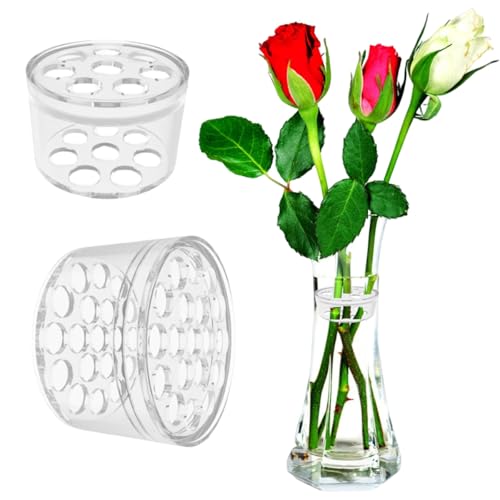 LGWJHCY Flower Stem Holder-Spiral Ikebana Stem Holder-Spiral Stem Holder, for Goods Clear Spiral Flower Stem Stand, Flower Arrangement Holder Transparent (2PCS) von LGWJHCY