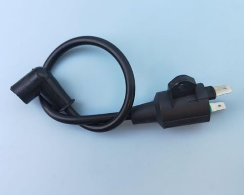 Benzingenerator ET950 ET650 IE45F TG950 mit Magnetzündspule Zündgerät for TIGER 450W 650W 800W 950W 1000W(High voltage package) von LGuenrot