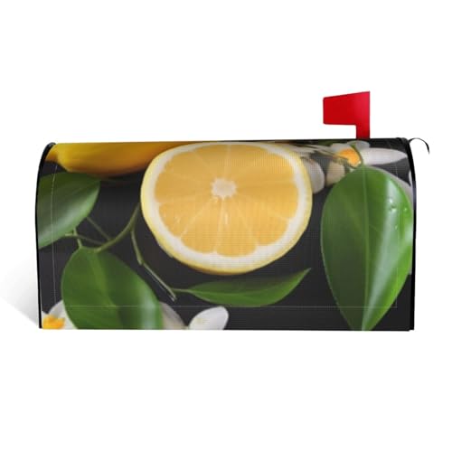 LHBWCVN Magnetische Briefkastenabdeckung, Motiv: Zitrone und Blume, personalisierbar, dekorative Willkommensbriefkasten-Abdeckung für Garten, Hof, Standard-Briefkasten-Dekoration, 53,3 x 45,7 cm von LHBWCVN