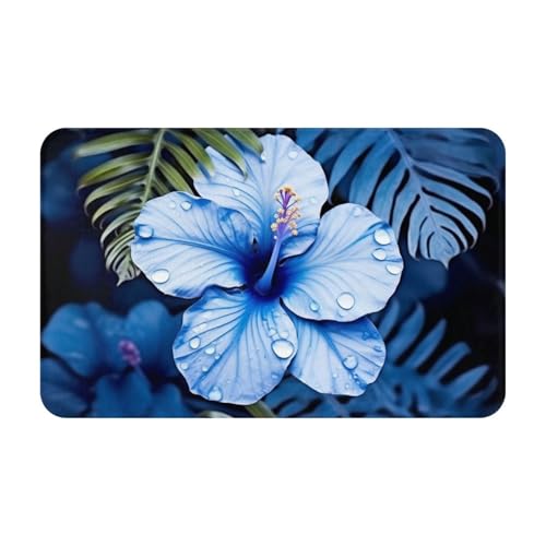 Schmutzfang-Fußmatte, 49,5 x 80 cm, rutschfest, waschbar, Eingangsmatte, blaue Blume, tropische Fußmatten, für drinnen und draußen, saugfähig, Willkommensteppich, flaches Profil, Fußmatten von LHBWCVN