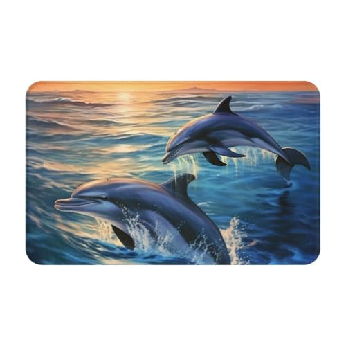 Schmutzfangmatte 49,5 x 80 cm, rutschfest, waschbar, Eingangsmatte, Delfine im Meer, Fußmatten für drinnen und draußen, saugfähig, Willkommensmatte, flaches Profil, Fußmatten, Flanell, Badematte von LHBWCVN