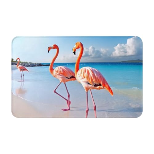 Schmutzfangmatte 49,5 x 80 cm, rutschfest, waschbar, Eingangsmatte, Flamingo am Strand, Fußmatten für drinnen und draußen, saugfähig, Willkommensmatte, flaches Profil, Fußmatten, Flanell, Badematte von LHBWCVN