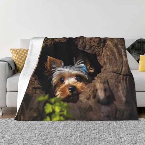 A Little Yorkshire Terrier Überwurfdecke, leicht, superweich, Flanelldecken, gemütlich, warm, Mikrofleece-Decken, Heimdekoration für Couch, Sofa, Bett, Wohnzimmer, 203 x 152 cm A Little Yorkshire Terrier Überwurfdecke, leicht, superweich, Flanelldecken, gemütlich, warm, Mikrofleece-Decken, Heimdekoration für Couch, Sofa, Bett, Wohnzimmer, 203 x 152 cm von LHDGBNV