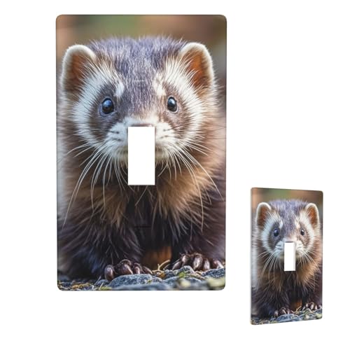 Dekorative Lichtschalter-Abdeckung, 1-Gang-Wandplatte, niedlicher Waschbär, Einzel-Kipp-Wandplatte, elektrische Schalterplatte, Steckdosenblende für Zuhause, Schlafzimmer, Kunstdekoration, 11,4 x 7 cm von LHDGBNV