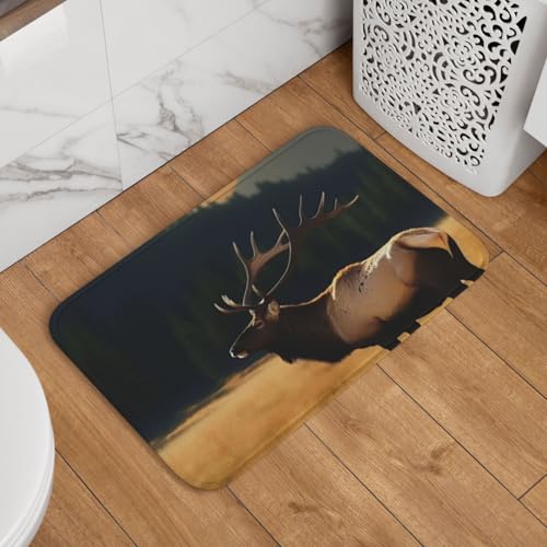 Fußmatte mit Elch auf der Wiese, rutschfest, saugfähig, weich, waschbar, Bodenmatte, moderner Teppich für stilvolle Küche, Schlafzimmer, Badezimmer, Dekoration, 40,6 x 61 cm Fußmatte mit Elch auf der Wiese, rutschfest, saugfähig, weich, waschbar, Bodenmatte, moderner Teppich für stilvolle Küche, Schlafzimmer, Badezimmer, Dekoration, 40,6 x 61 cm von LHDGBNV