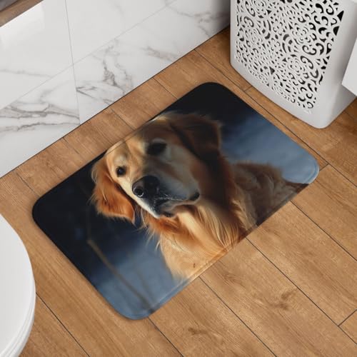 Golden Retriever Fußmatte Willkommens-Fußmatte, rutschfest, saugfähig, weich, waschbar, Bodenmatte, moderner Teppich für stilvolle Küche, Schlafzimmer, Badezimmer, Dekoration, 40,6 x 61 cm Golden Retriever Fußmatte Willkommens-Fußmatte, rutschfest, saugfähig, weich, waschbar, Bodenmatte, moderner Teppich für stilvolle Küche, Schlafzimmer, Badezimmer, Dekoration, 40,6 x 61 cm von LHDGBNV