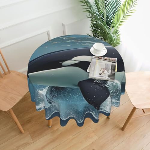 LHDGBNV Orca Killerwal runde Tischdecken, 152,4 cm, wasserdicht, flecken- und knitterfrei, runde Tischdecke, Bauernhaus-Tischdecke für Picknick, Party, Esszimmer, Zuhause, Innen- und Außenbereich LHDGBNV Orca Killerwal runde Tischdecken, 152,4 cm, wasserdicht, flecken- und knitterfrei, runde Tischdecke, Bauernhaus-Tischdecke für Picknick, Party, Esszimmer, Zuhause, Innen- und Außenbereich von LHDGBNV