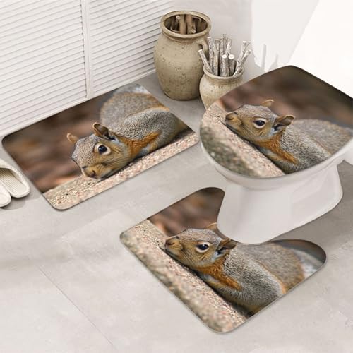 LHDGBNV Squirrel Just Laying Badezimmerteppich-Set – 3-teiliges rutschfeste Duschmatten mit U-förmiger Kontur-WC-Matte, saugfähige Mikrofaser, waschbare Badezimmer-Fußmatten für Badewanne, Duschraum von LHDGBNV