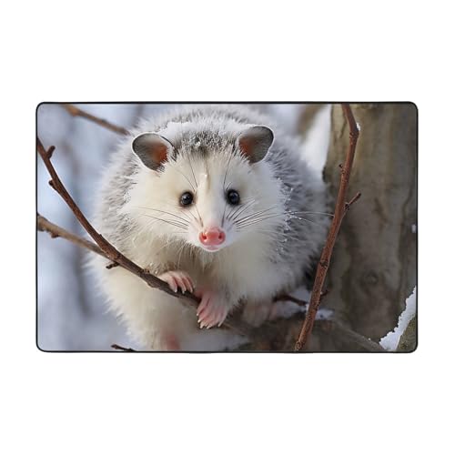 Moderner Teppich, 183 x 122 cm, kurzer Plüsch, ultraweich, waschbar, rutschfeste Fußmatten, Opossum im Schnee, Überwurf für Wohnzimmer, Schlafzimmer, Büro, Wohnheim, Heimdekoration von LHDGBNV
