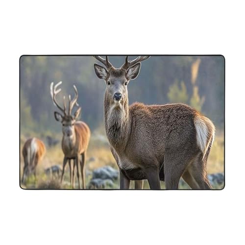 Moderner Teppich, 183 x 122 cm, kurzer Plüsch-Teppich, ultraweich, waschbar, rutschfeste Bodenmatten, Natur, Wildtiere, Hirsche, Überwurf, Teppiche für Wohnzimmer, Schlafzimmer, Büro, Wohnheim Moderner Teppich, 183 x 122 cm, kurzer Plüsch-Teppich, ultraweich, waschbar, rutschfeste Bodenmatten, Natur, Wildtiere, Hirsche, Überwurf, Teppiche für Wohnzimmer, Schlafzimmer, Büro, Wohnheim von LHDGBNV