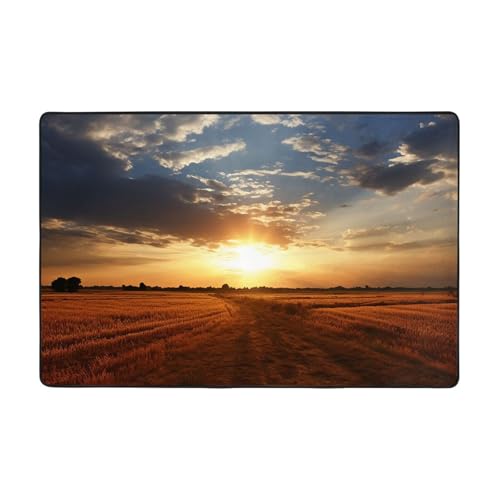Moderner Teppich, 91,4 x 61 cm, kurzer Plüsch-Teppich, ultraweich, waschbar, rutschfest, für Wohnzimmer, Schlafzimmer, Büro, Wohnheim, Heimdekoration Moderner Teppich, 91,4 x 61 cm, kurzer Plüsch-Teppich, ultraweich, waschbar, rutschfest, für Wohnzimmer, Schlafzimmer, Büro, Wohnheim, Heimdekoration von LHDGBNV