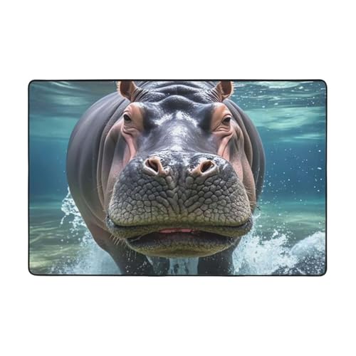 Moderner Teppich, 91,4 x 61 cm, kurzer Plüsch-Teppich, ultraweich, waschbar, rutschfeste Fußmatten, Taucher, Nilpferd, Überwurf, Teppiche für Wohnzimmer, Schlafzimmer, Büro, Wohnheim, Heimdekoration von LHDGBNV