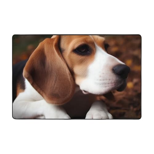 Moderner Teppich, 91,4 x 61 cm, kurzer Plüsch-Teppich, ultraweich, waschbar, rutschfeste Fußmatten, niedlicher Beagle-Überwurf, Teppiche für Wohnzimmer, Schlafzimmer, Büro, Wohnheim, Heimdekoration von LHDGBNV