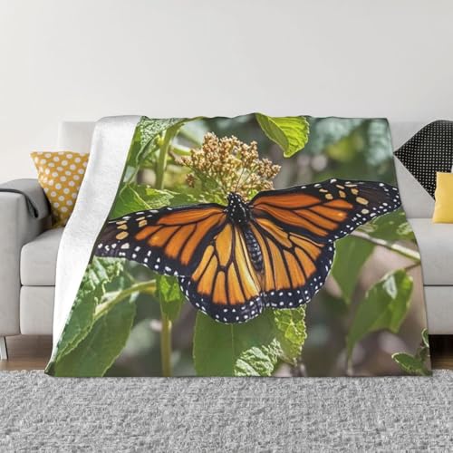 Monarch Schmetterlings-Überwurfdecke, leicht, superweich, Flanell-Decken, gemütlich, warm, Mikrofleece-Decken, Heimdekoration für Couch, Sofa, Bett, Wohnzimmer, 101,6 x 76,2 cm Monarch Schmetterlings-Überwurfdecke, leicht, superweich, Flanell-Decken, gemütlich, warm, Mikrofleece-Decken, Heimdekoration für Couch, Sofa, Bett, Wohnzimmer, 101,6 x 76,2 cm von LHDGBNV
