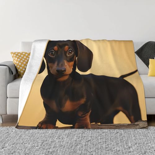 Niedlicher Dackel-Überwurf, leichte, superweiche Flanelldecke, gemütlich, warm, Mikrofleece-Decke, Heimdekoration für Couch, Sofa, Bett, Wohnzimmer, 127 x 101 cm von LHDGBNV